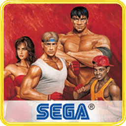新葡萄8883平台免费下载安装-新葡萄8883平台手机版(Streets of Rage 2)下载 v4.1.0 安卓版
